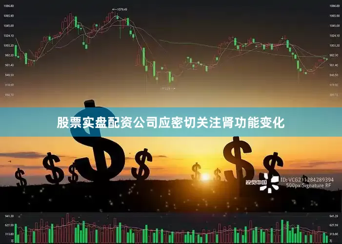 股票实盘配资公司应密切关注肾功能变化