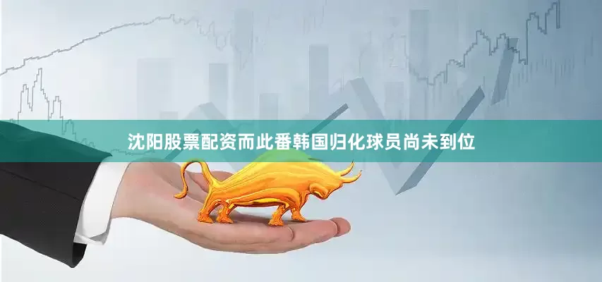 沈阳股票配资而此番韩国归化球员尚未到位