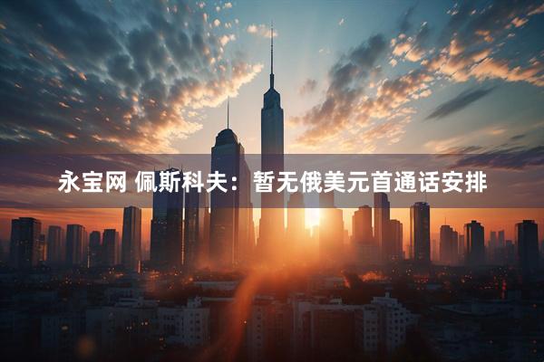 永宝网 佩斯科夫：暂无俄美元首通话安排