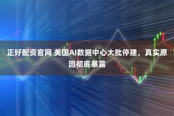 正好配资官网 美国AI数据中心大批停建，真实原因彻底暴露